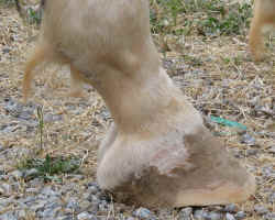 Uno-right-rear-05-11-08-1.jpg (133376 bytes)