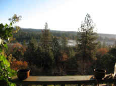 pre-snow01.jpg (140675 bytes)