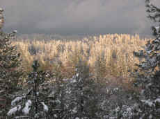 snow23.jpg (199979 bytes)