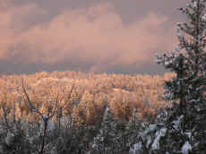 snow26.jpg (156934 bytes)
