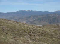 Washoe Valley 2010 688.jpg (112358 bytes)
