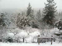 snow-march1.jpg (96928 bytes)
