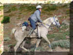 102-0241_IMG.JPG (82612 bytes)