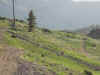 Img_3575.jpg (68753 bytes)