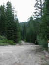 Img_3501.jpg (65786 bytes)