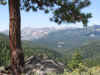 Img_3503.jpg (79765 bytes)